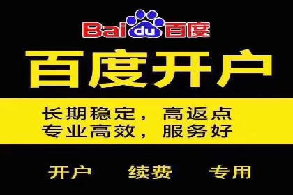 百度竞价广告投放全解析：成功案例揭秘
