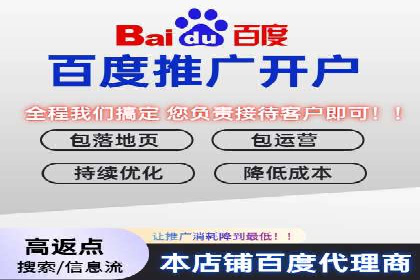 SEM代运营经典案例解析与启示